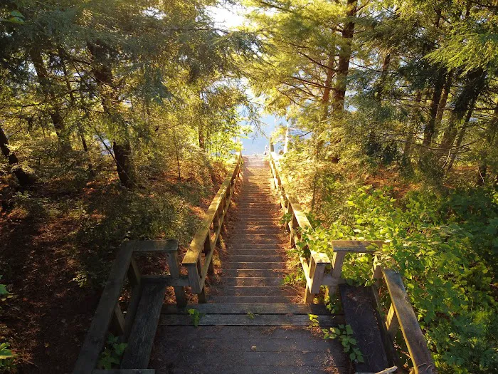 Wabasso Lake Campground Picture 3