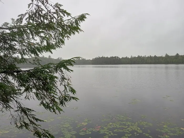 Wabasso Lake Campground Picture 2