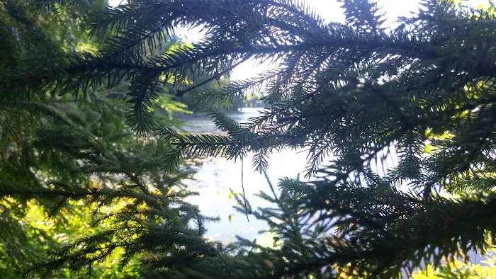 Wabasso Lake Campground Picture 10