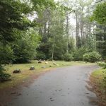 Sandy Beach Campground