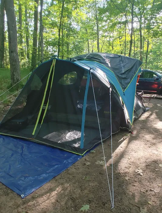 South Trout Lake Campground Picture 7