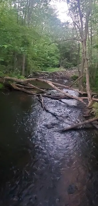 South Trout Lake Campground Picture 1