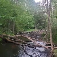 South Trout Lake Campground ico