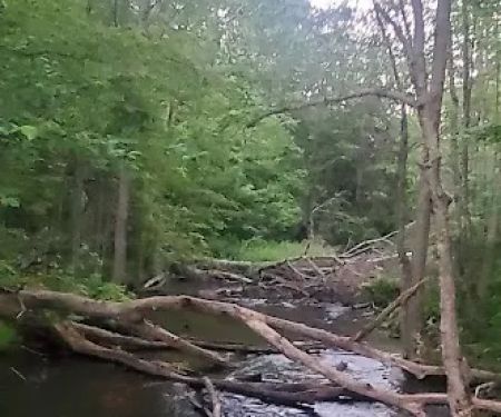 South Trout Lake Campground