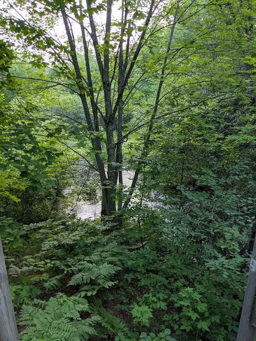 South Trout Lake Campground Picture 10