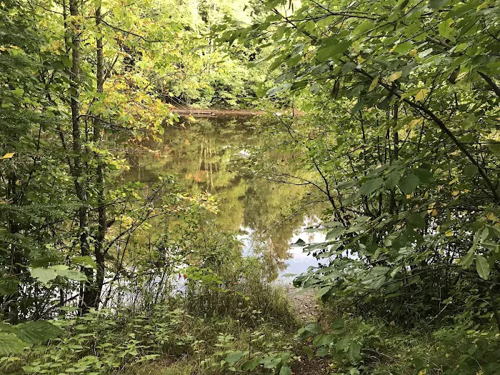 Stockfarm Bridge Campground Picture 7