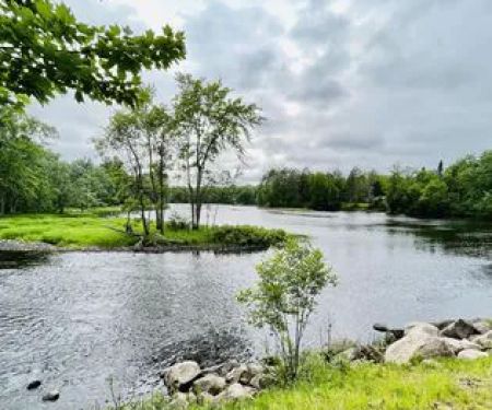 Black Lake Campground