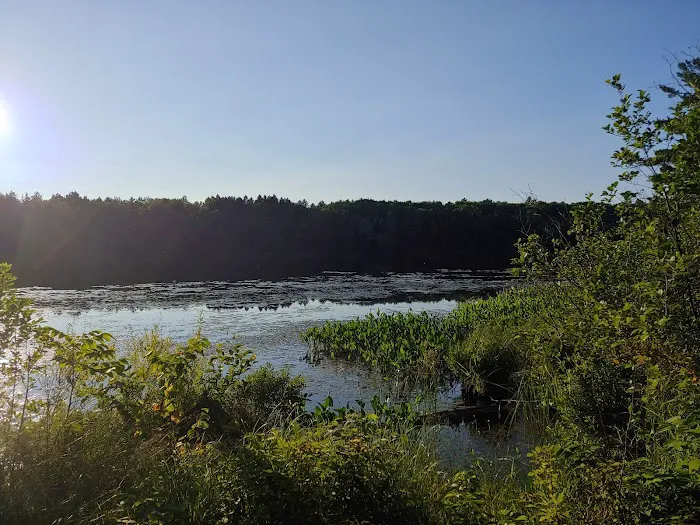 Black Lake Campground Picture 19