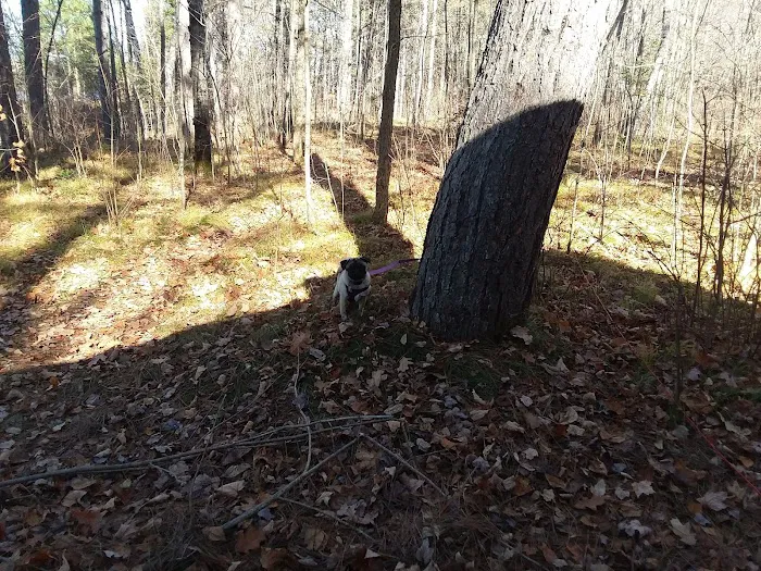 Black Lake Picture 9