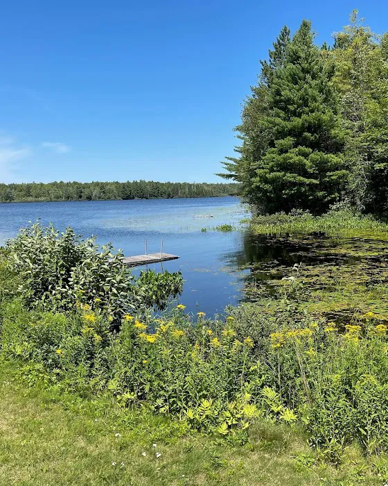 Black Lake Picture 5