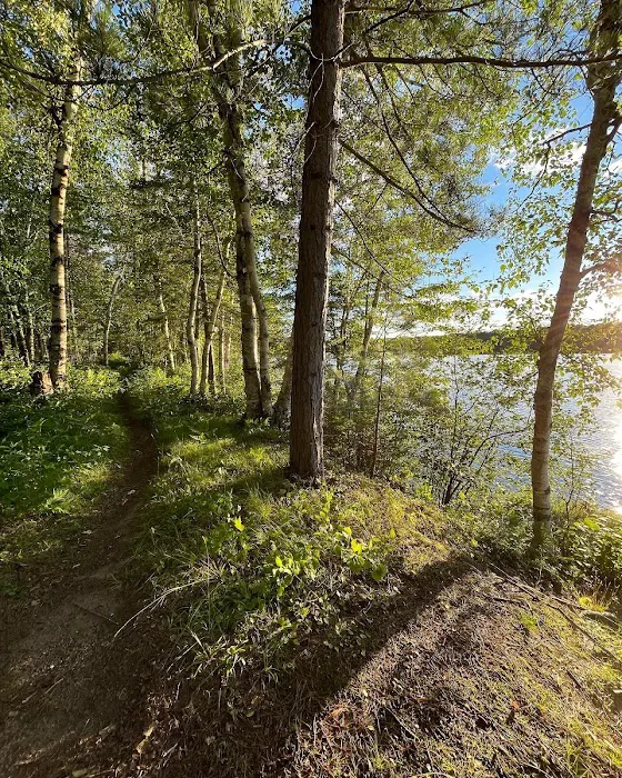 Black Lake Picture 8