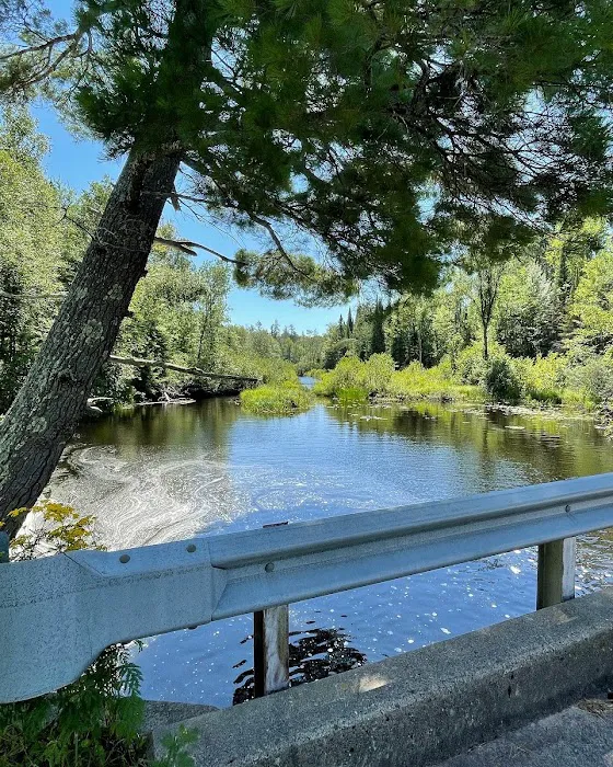 Black Lake Picture 7