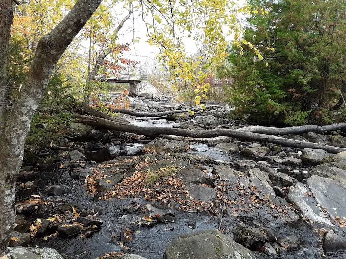 Side 1 Lake of the Falls Campground Picture 1