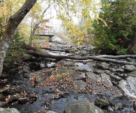 Side 1 Lake of the Falls Campground