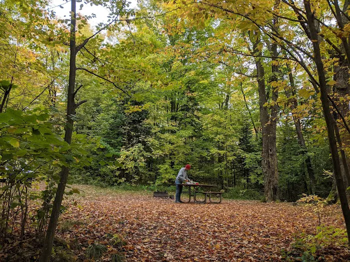 Moose Lake Campground Picture 1