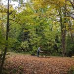 Moose Lake Campground