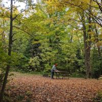 Moose Lake Campground ico