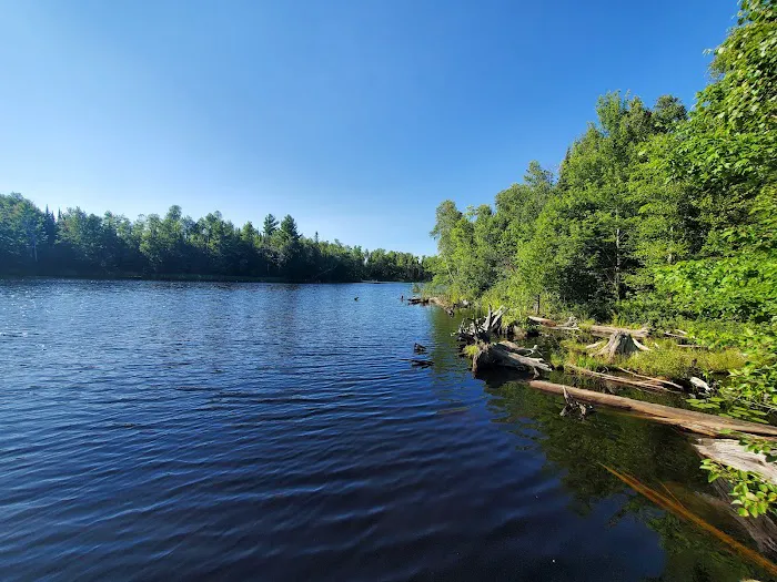 Moose Lake Campground Picture 5