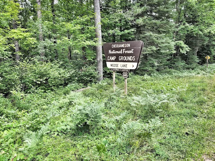 Moose Lake Campground Picture 4