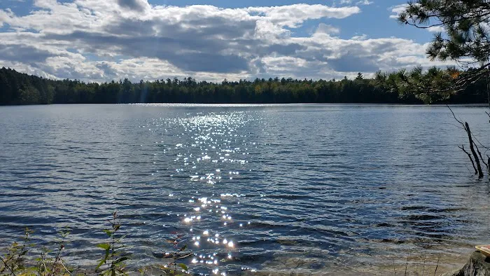 Firefly Lake Campground Picture 1