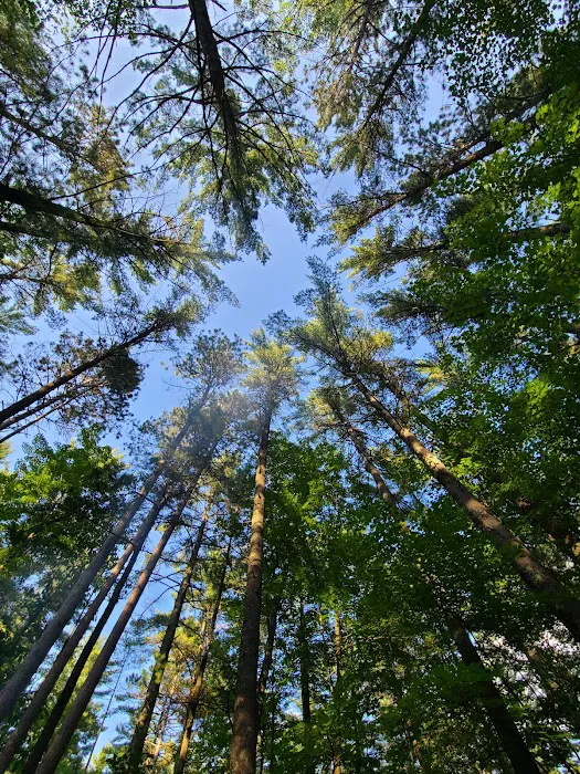 Firefly Lake Campground Picture 10