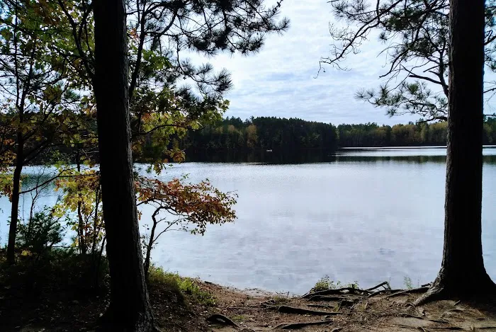 Firefly Lake Campground Picture 2