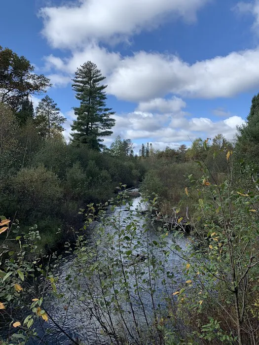 Tamarack Springs Campground Picture 2