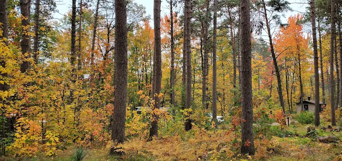 North Trout Lake campground Picture 9