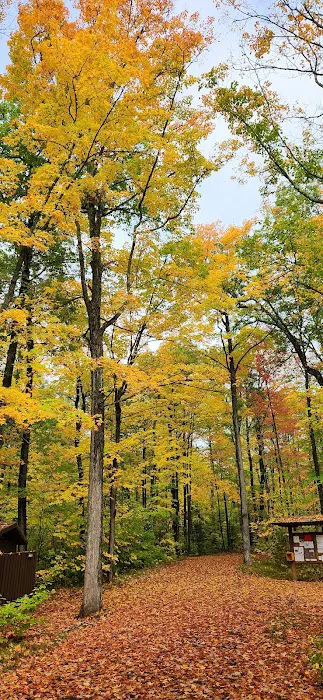 North Trout Lake campground Picture 7