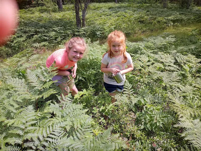 Rohr's Wilderness Tours Picture 2