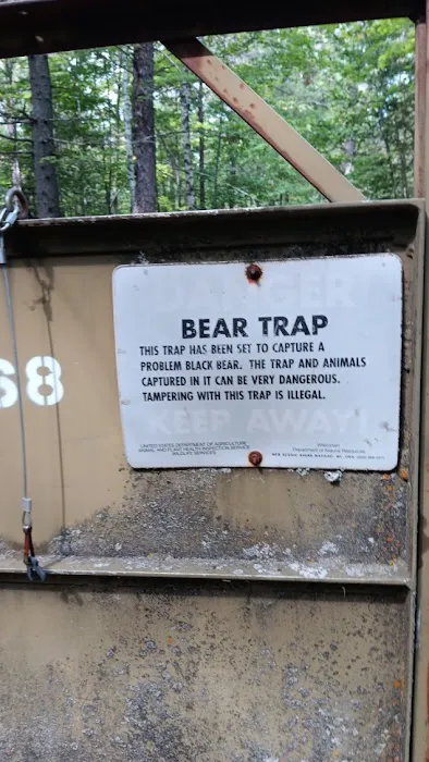 Lac Vieux Desert Campground Picture 7