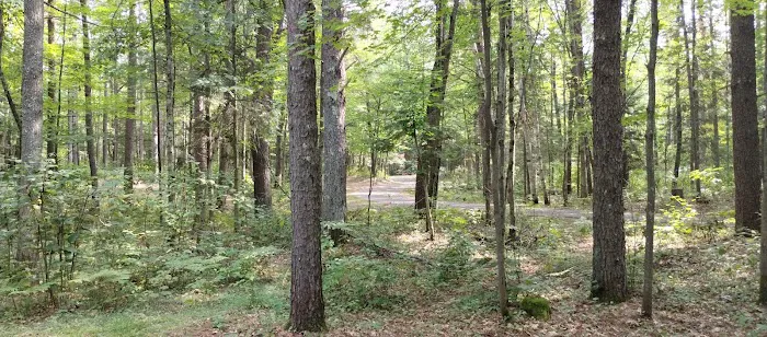 Lac Vieux Desert Campground Picture 3