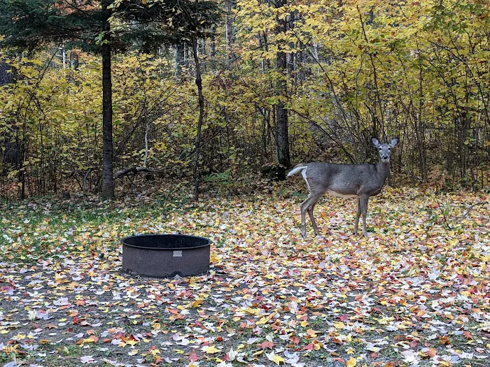 Lac Vieux Desert Campground Picture 9