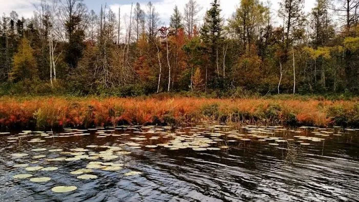 Lac Vieux Desert Campground Picture 8