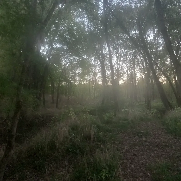 Primitive Camping Picture 6