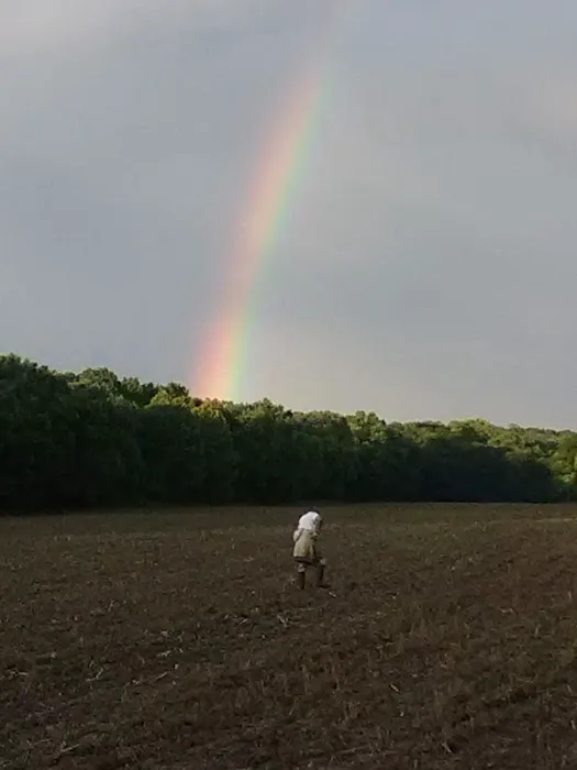 Primitive Camping Picture 5