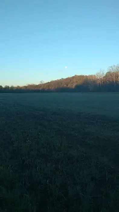 Primitive Camping Picture 2