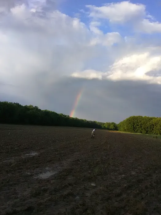 Primitive Camping Picture 3