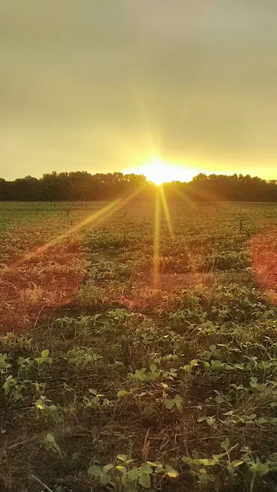 Primitive Camping Picture 4