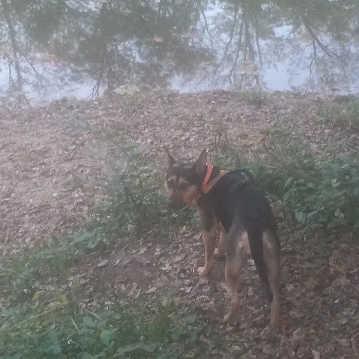 Primitive Camping Picture 7