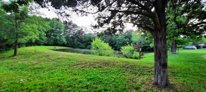 Tea Lakes Picture 4