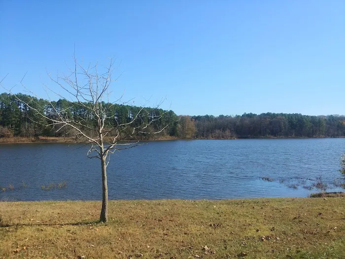 Tea Lakes Picture 5