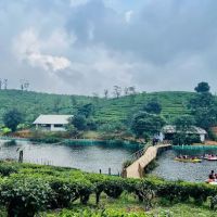 Tea Lakes ico