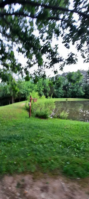 Tea Lakes Picture 3