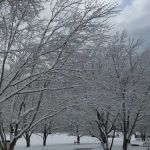 Laura Ingalls Wilder RV Park