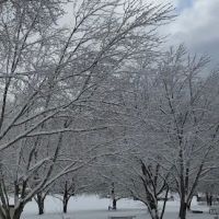 Laura Ingalls Wilder RV Park ico