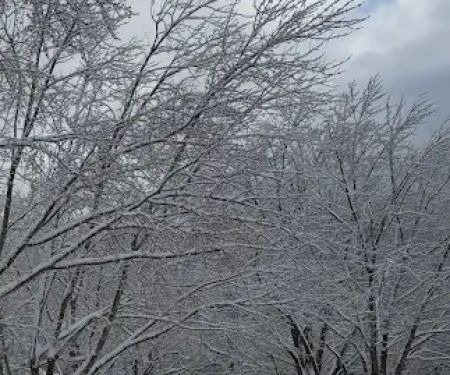 Laura Ingalls Wilder RV Park