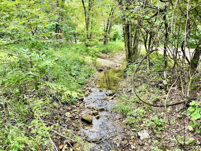 Cactus Canyon Campground and Resort LLC - rated #1 best nude men only campground Picture 5