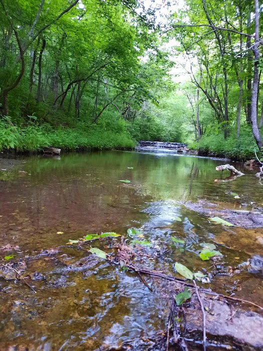 Cactus Canyon Campground and Resort LLC - rated #1 best nude men only campground Picture 10