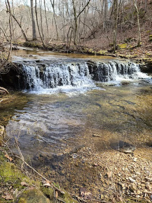 Cactus Canyon Campground and Resort LLC - rated #1 best nude men only campground Picture 1
